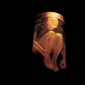 ALICE IN CHAINS - NOTHING SAFE: BEST OF THE BOX