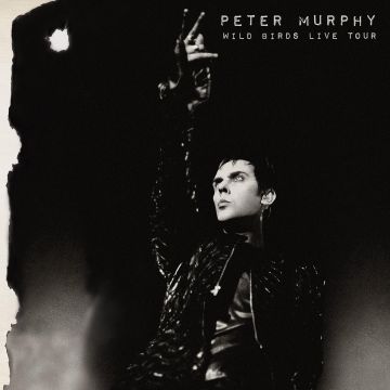 PETER MURPHY - WILD BIRDS LIVE TOUR (PURPLE & BLACK VINYL/2LP)