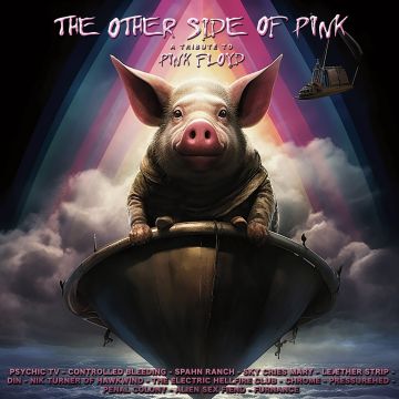 VARIOUS ARTISTS - OTHER SIDE OF PINK FLOYD (PINK VINYL)