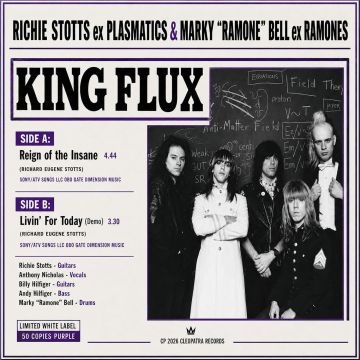 KING FLUX - REIGN OF THE INSANE
