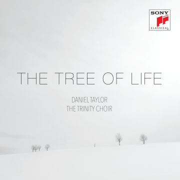 DANIEL TAYLOR - TREE OF LIFE