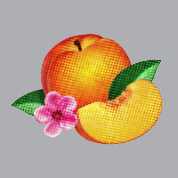 PHOENIX - BANKRUPT