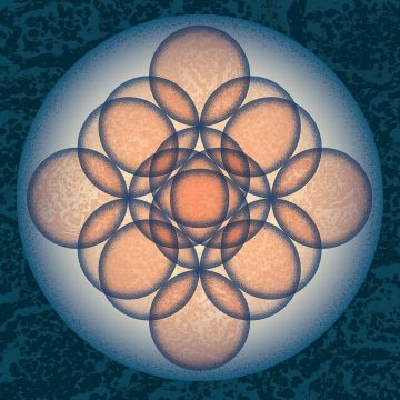 EMBRYO - AUF AUF