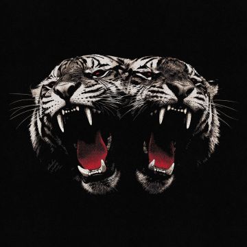 ROYAL BLOOD - DEAD COMPANY