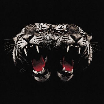 ROYAL BLOOD - DEAD COMPANY