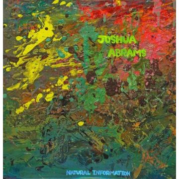 JOSHUA ABRAMS - NATURAL INFORMATION (IMPORT)