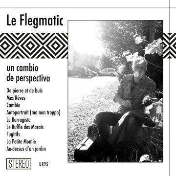 LE FLEGMATIC - UN CAMBIO DE PERSPECTIVA