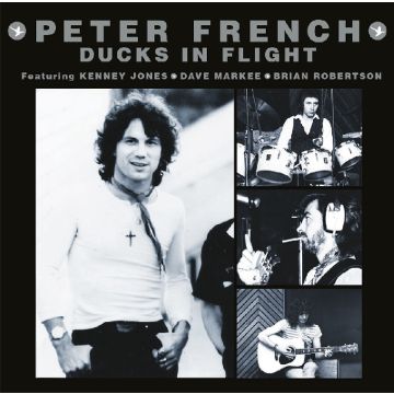 PETER FRENCH - DUCKS IN FLIGHT