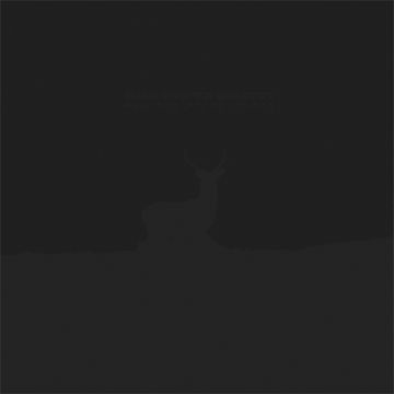 DALE COOPER QUARTET - PAROLE DE NAVARRE