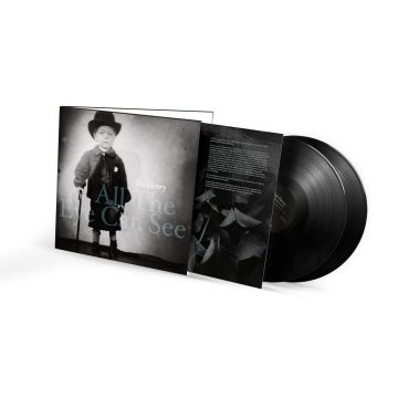 JOE HENRY - ALL THE EYE CAN SEE