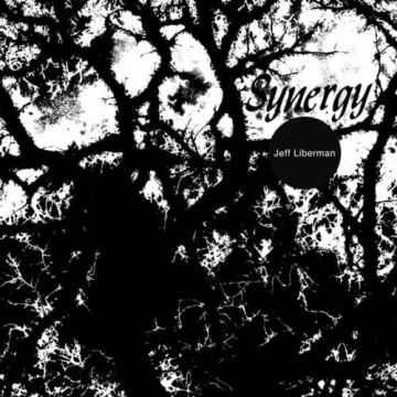 JEFFERY LIBERMAN - SYNERGY