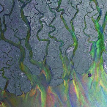 ALT-J - AWESOME WAVE (WHITE VINYL)