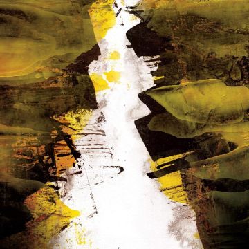 LIZZARD - ERODED