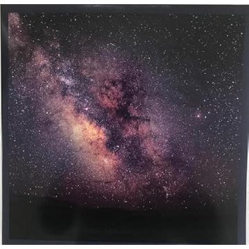 LIZ METTA - INTROSPECTION