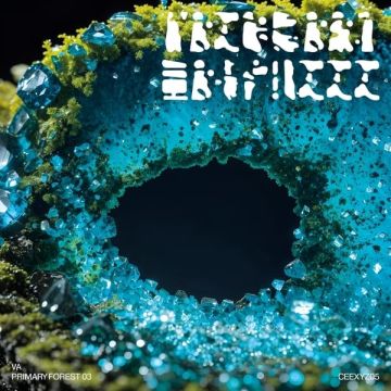 VARIOUS ARTISTS - PRIMARY FOREST 03
