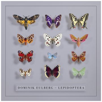 DOMINIK EULBERG - LEPIDOPTERA