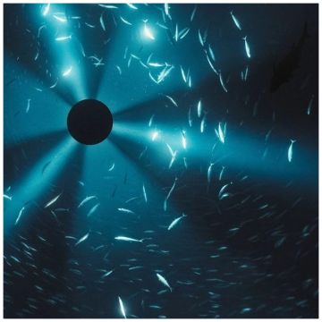 LAUREL HALO - MIDNIGHT ZONE OST