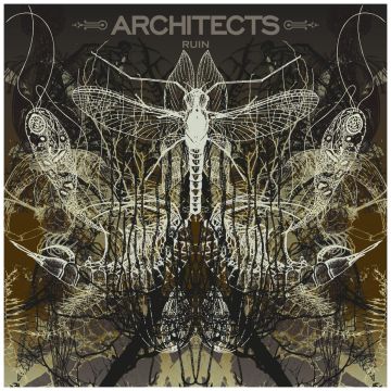 ARCHITECTS - RUIN (LIMITED/PICTURE DISC)