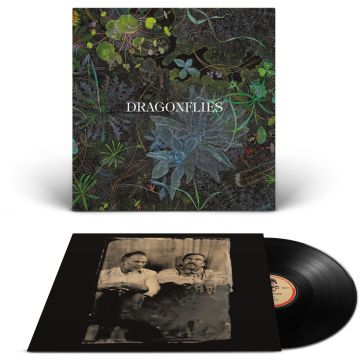 DRAGONFLIES - DRAGONFLIES