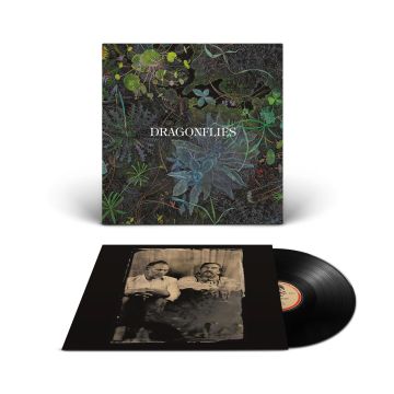Dragonflies - Dragonflies