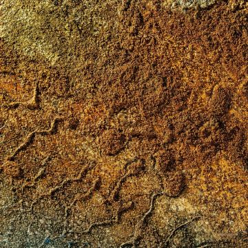 VARIOUS ARTISTS - VELVET DESERT MUSIC VOL. 2