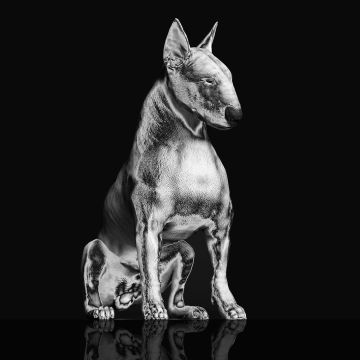 RISKEE & THE RIDICULE - PLATINUM STATUE (CLEAR MARBLED VINYL)