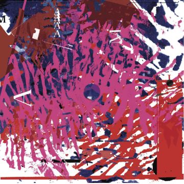 VINICIO ADAMES - AMAZONIA