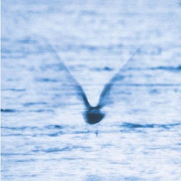 RYO FUKUI - MELLOW DREAM