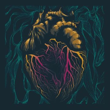SHADOW LIZZARDS - SOMEONE'S HEARTACHE