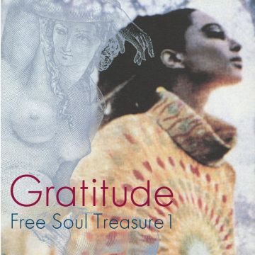 VARIOUS ARTISTS - GRATITUDE: SUBURBIA MEETS ULTRA-VYBE FREE SOUL TREASURE 1