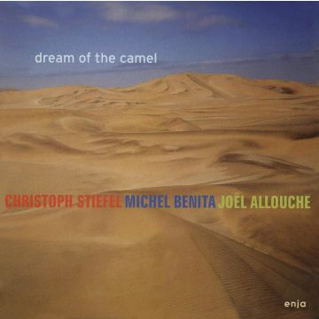 Christoph Stiefel Trio - Dream Of The Camel