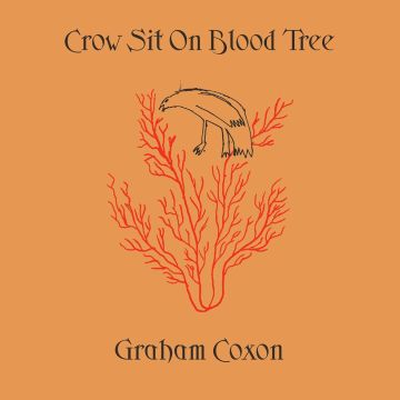 GRAHAM COXON - CROW SIT ON BLOOD TREE (LIMITED)