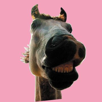 HIGH-LOWS - DO!!THE MUSTANG (REMASTERING)