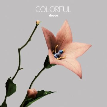 DOOOO - COLORFUL