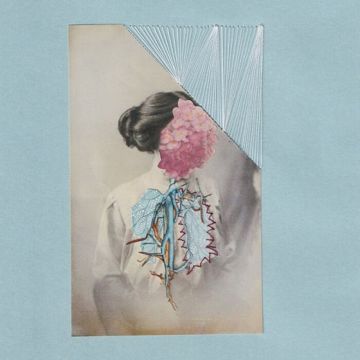 OHZORA KIMISHIMA - JUSO (INSERT)