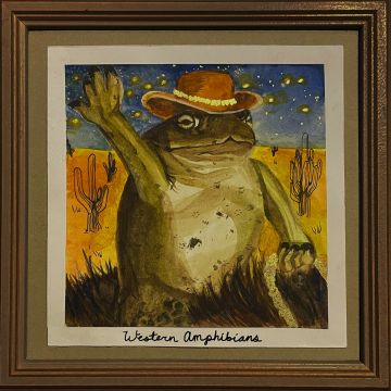 ANITA VELVEETA - WESTERN AMPHIBIANS (COLORED VINYL)
