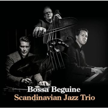 Scandinavian Jazz Trio - Bossa Beguine