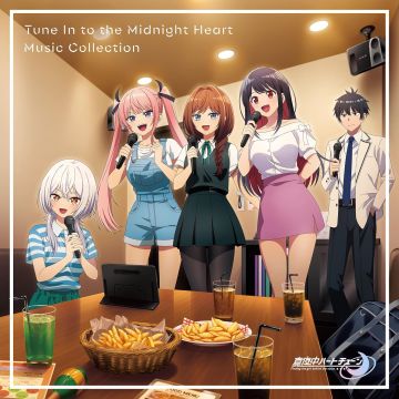 VARIOUS ARTISTS - TUNE IN TO THE MIDNIGHT HEART MUSIC COLLECTION