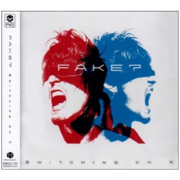 FAKE - SWITCHING ON X
