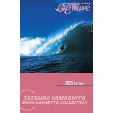 TATSURO YAMASHITA - BIG WAVE