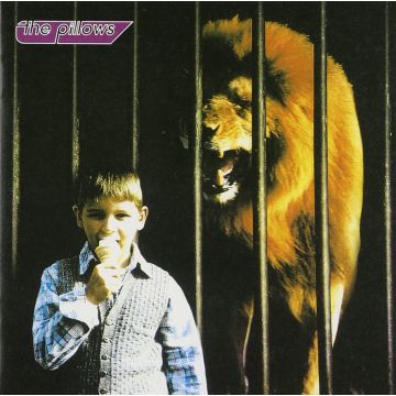 PILLOWS - LITTLE BUSTERS
