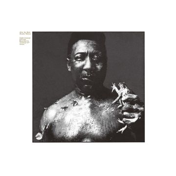 MUDDY WATERS - AFTER THE RAIN