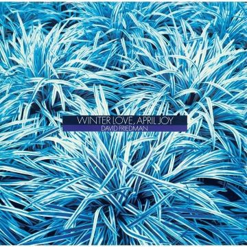 DAVID FRIEDMAN - WINTER LOVE APRIL JOY