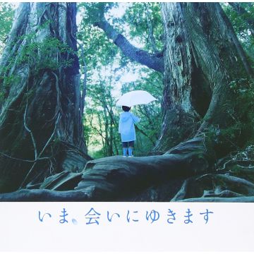 SUGURU MASTUTANI - IMA AINIYUKIMASU