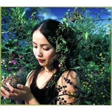 CHITOSE HAJIME - HANADAIRO