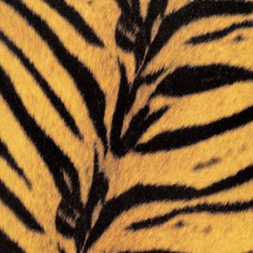 HIGH-LOWS - TIGERMOBILE