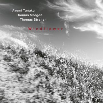 AYUMI; THOMAS MORGAN TANAKA - WINDFLOWER