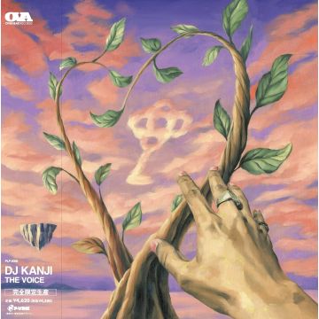 DJ KANJI - VOICE