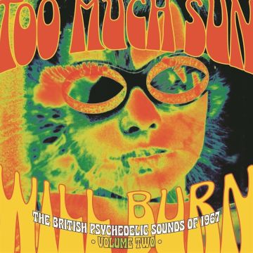 VARIOUS ARTISTS - TOO MUCH SUN WILL BURN