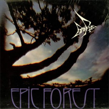 RARE BIRD - EPIC FOREST